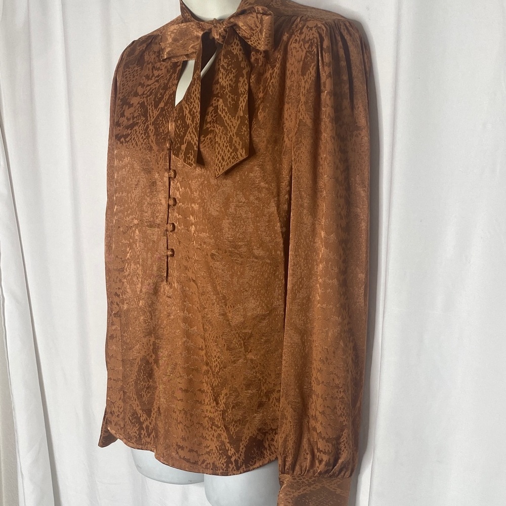 Express Brown Button Down Shirt with Bow - Picture 3 of 8